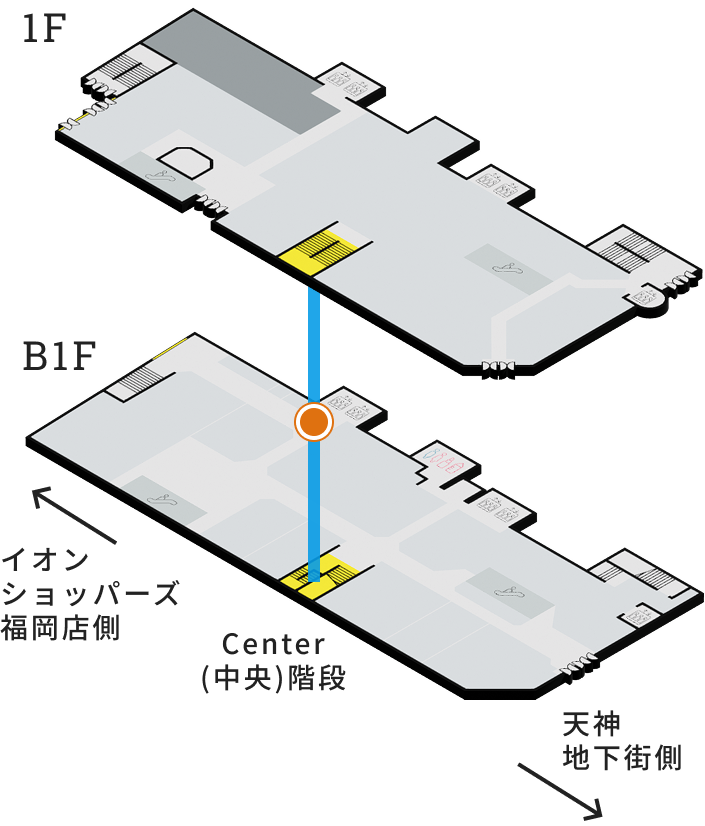 展示場所
